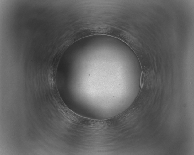 X0000074971058200609081405