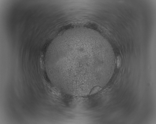 X0000074971059200609081405