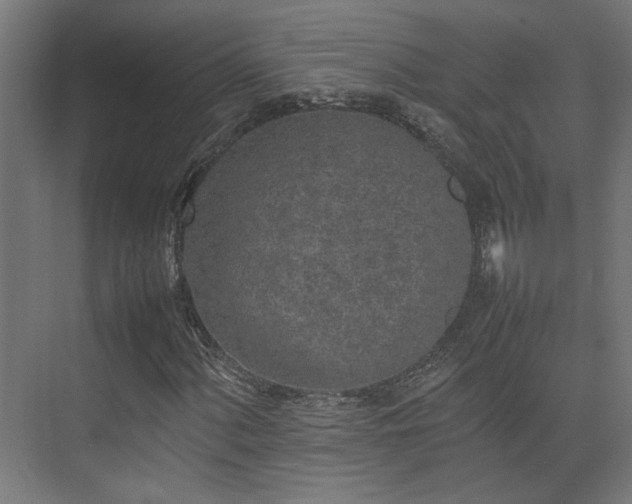 X0000074971060200609081405