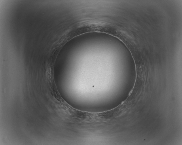 X0000074971061200609081405