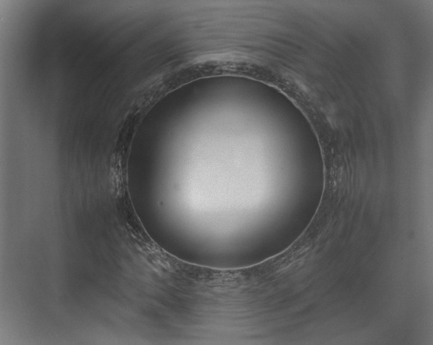 X0000074971062200609081405