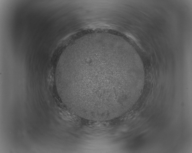 X0000074971063200609081405