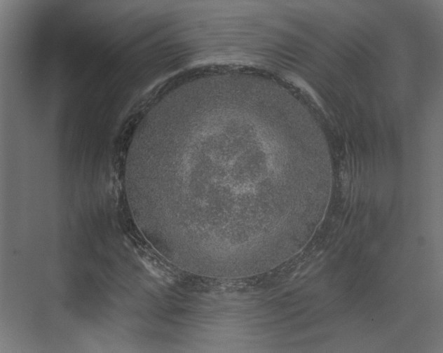 X0000074971064200609081405