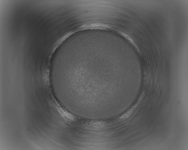 X0000074971066200609081405