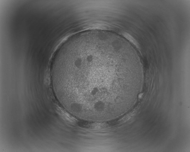 X0000074971067200609081405