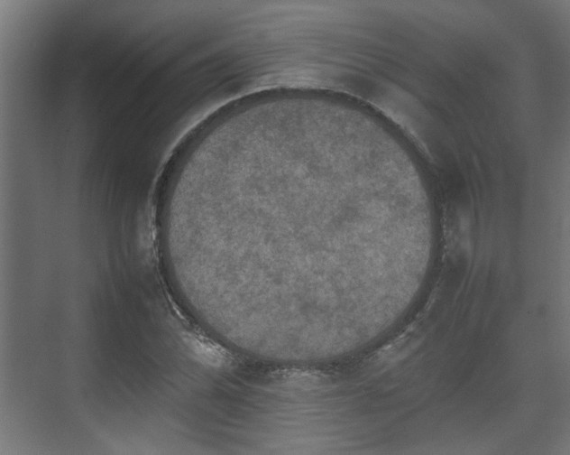 X0000074971070200609081405