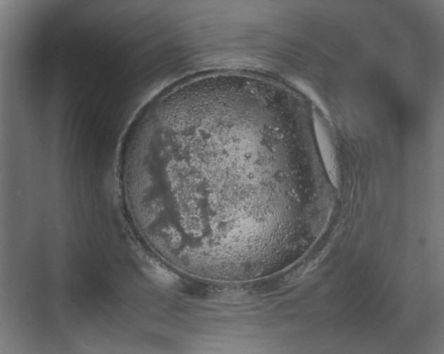 X0000074971071200609081405