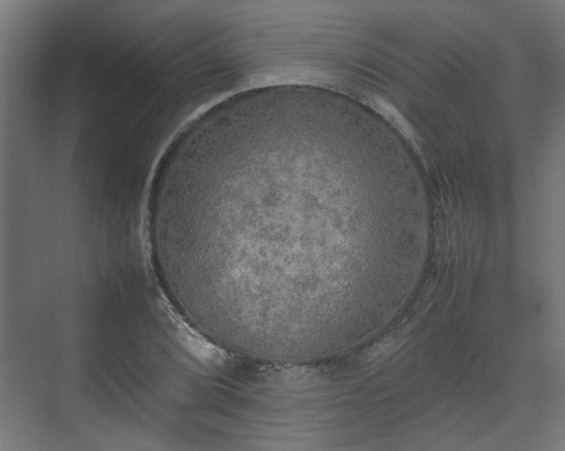 X0000074971072200609081405