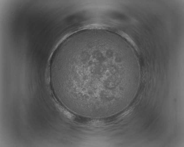 X0000074971075200609081405