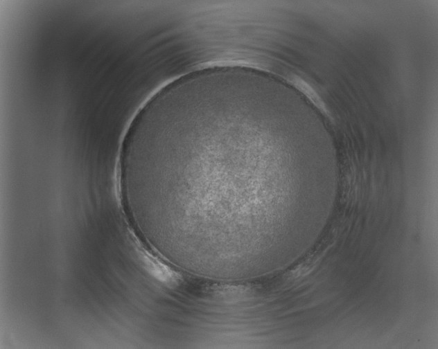 X0000074971076200609081405