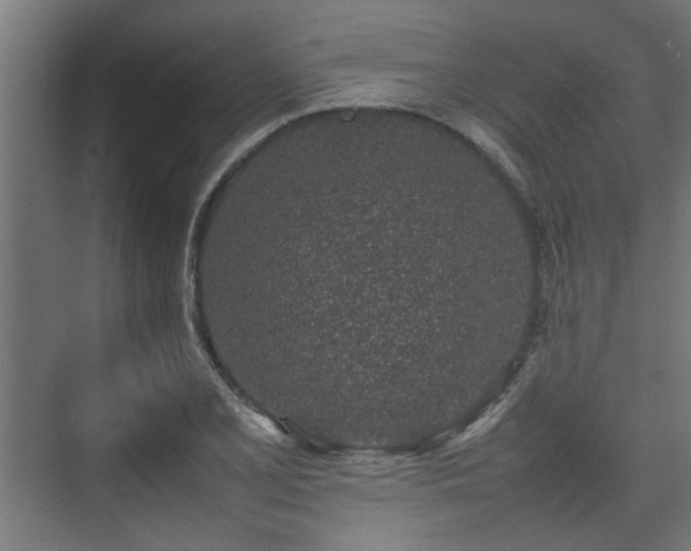 X0000074971077200609081405