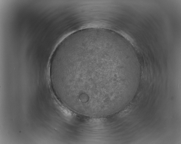 X0000074971078200609081405