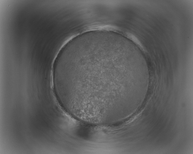 X0000074971079200609081405