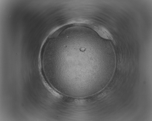 X0000074971080200609081405