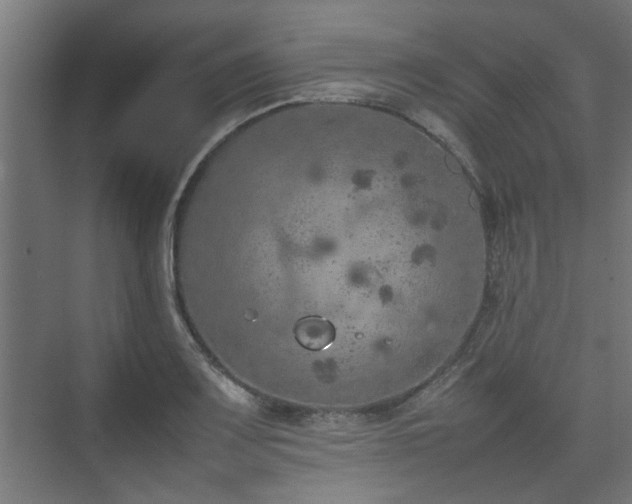 X0000074971083200609081405