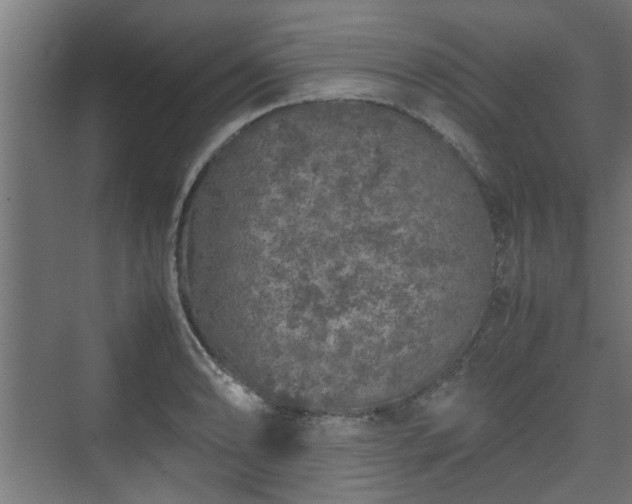 X0000074971086200609081405