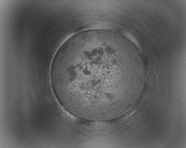 X0000074971087200609081405