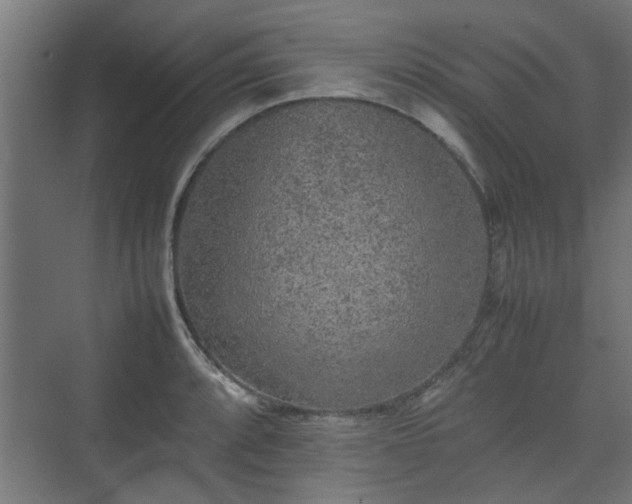 X0000074971088200609081405