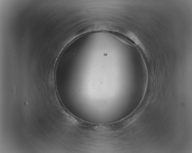 X0000074971089200609081405