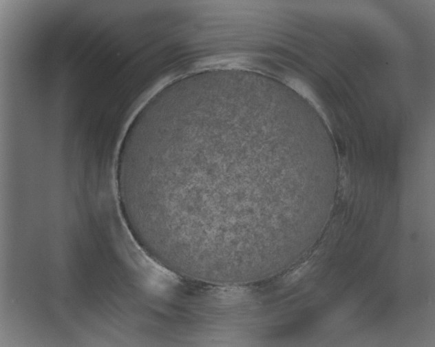 X0000074971090200609081405