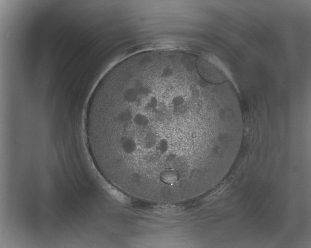 X0000074971091200609081405