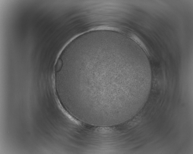 X0000074971092200609081405