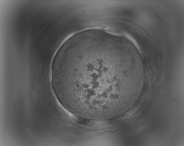 X0000074971095200609081405