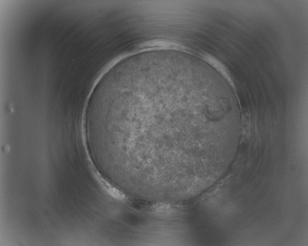 X0000074971098200609081405