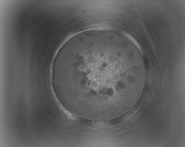 X0000074971099200609081405