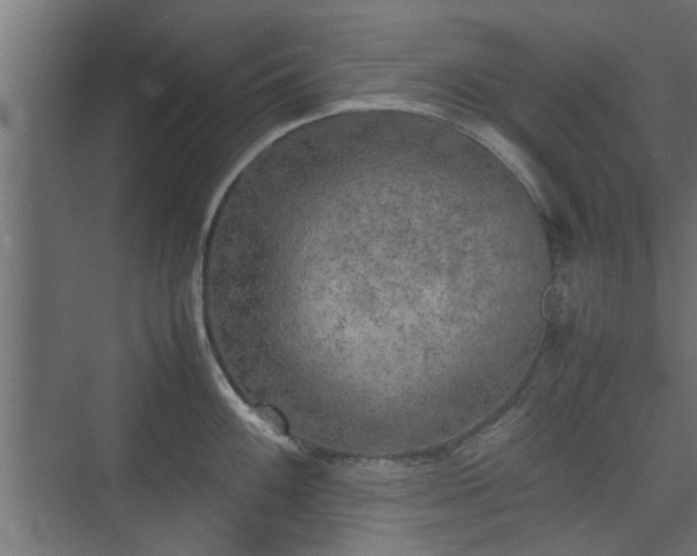 X0000074971100200609081405