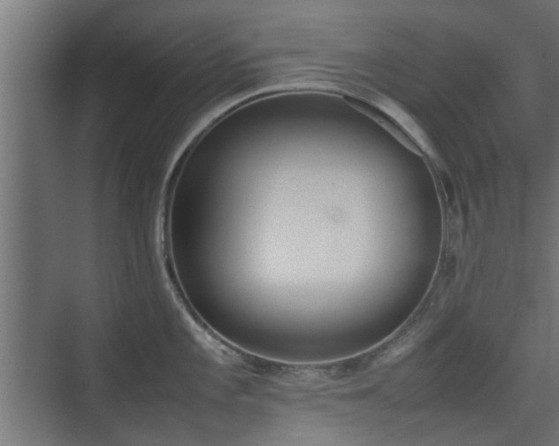 X0000074971101200609081405