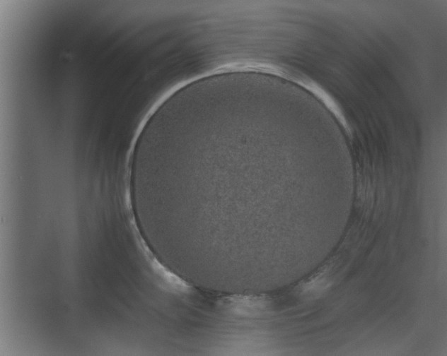 X0000074971102200609081405