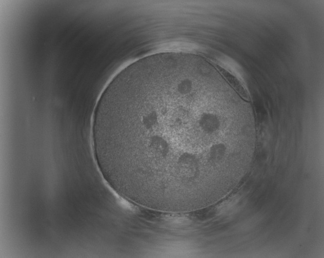 X0000074971103200609081405