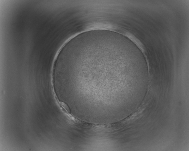 X0000074971104200609081405