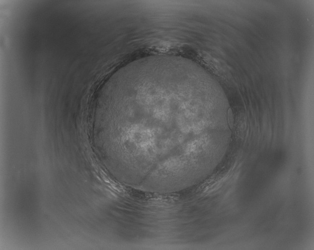 X0000074971105200609081404