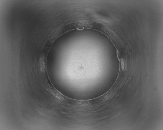 X0000074971107200609081404