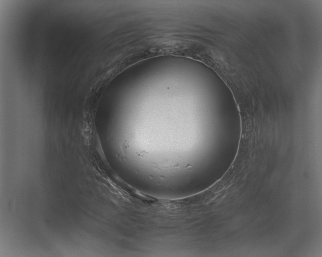 X0000074971109200609081404