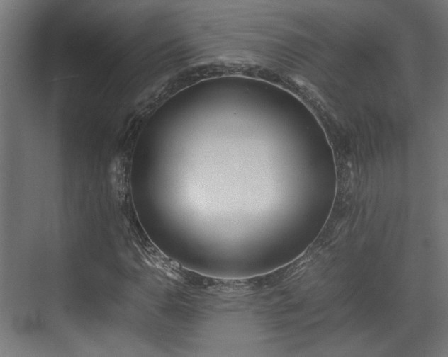 X0000074971110200609081404