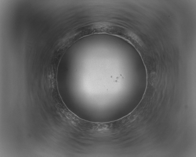 X0000074971111200609081404