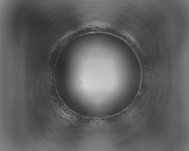 X0000074971112200609081404