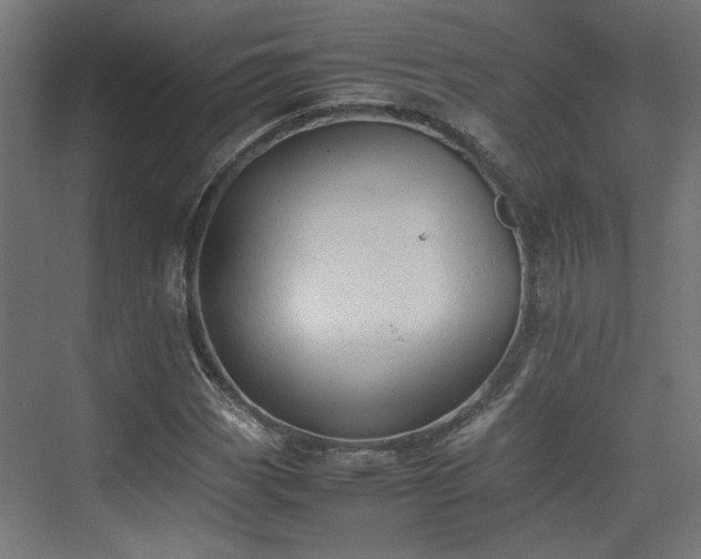 X0000074971113200609081404