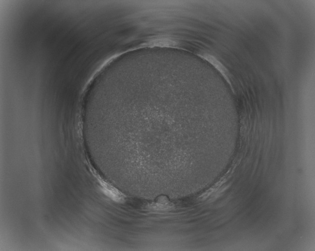 X0000074971115200609081404