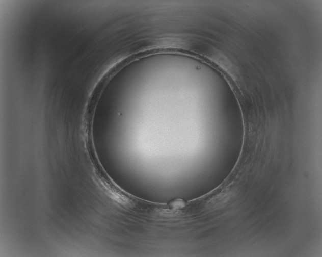 X0000074971119200609081404