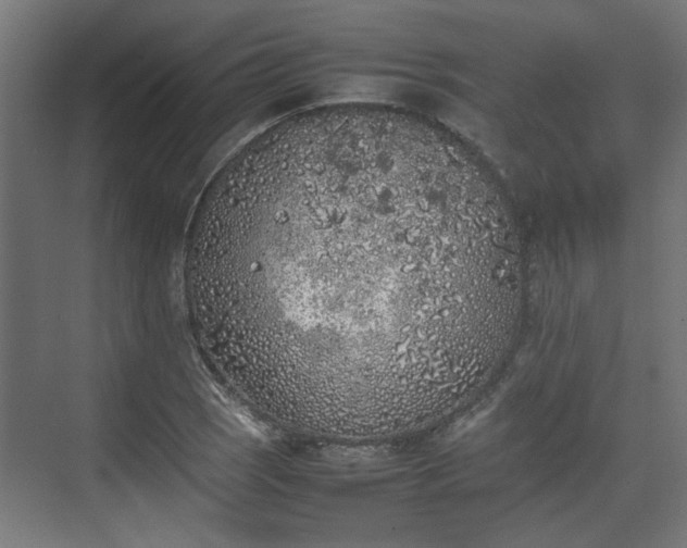 X0000074971121200609081404