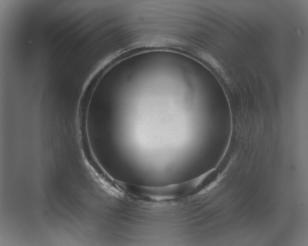 X0000074971122200609081404