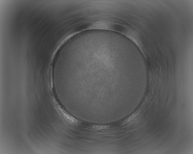 X0000074971123200609081404