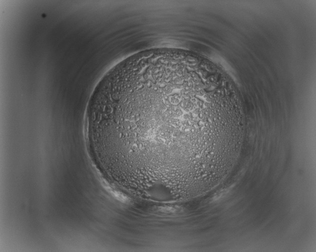 X0000074971125200609081404