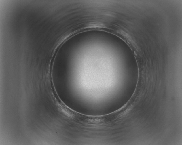 X0000074971129200609081404