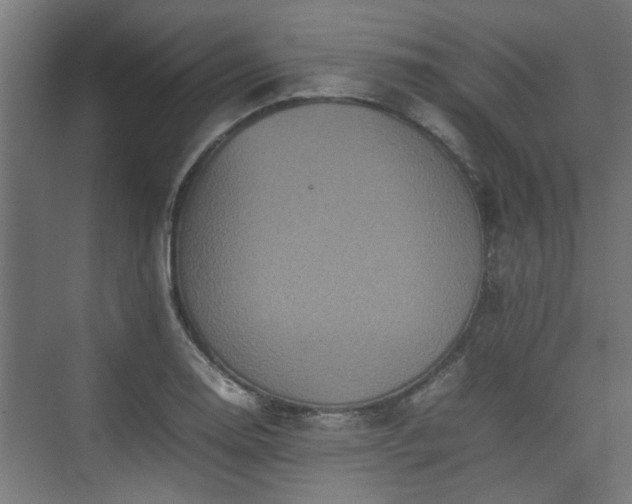 X0000074971130200609081404