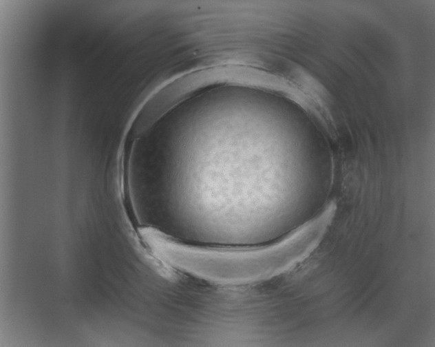 X0000074971132200609081404